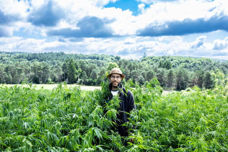 agriculteur culture chanvre isolation Corrèze